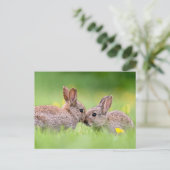 Kutest Baby Animals | Bunny Kiss Briefkaart (Staand voorkant)