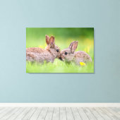 Kutest Baby Animals | Bunny Kiss Canvas Afdruk (Insitu (Houten vloer))