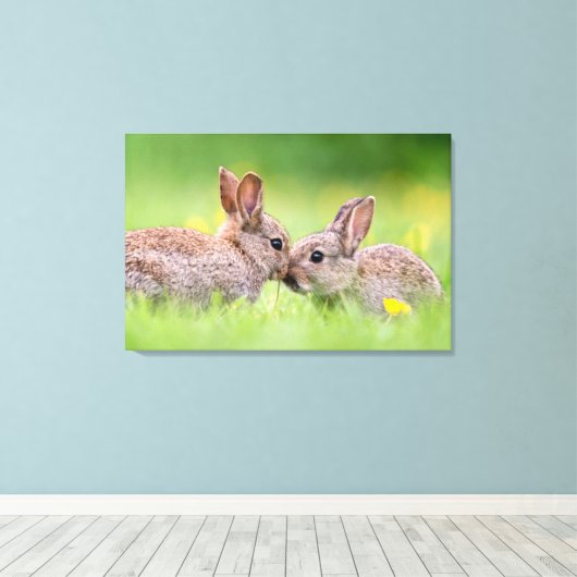Kutest Baby Animals | Bunny Kiss Canvas Afdruk (Insitu (Houten vloer))