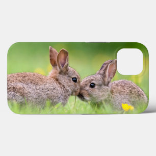 Kutest Baby Animals Bunny Kiss Case-Mate iPhone Case
