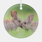 Kutest Baby Animals | Bunny Kiss Glas Ornament (Voorkant)