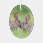 Kutest Baby Animals | Bunny Kiss Glas Ornament (Voorkant links)
