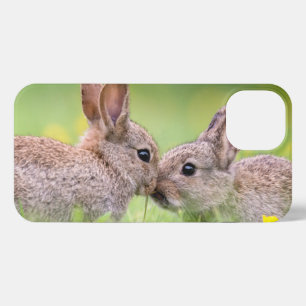 Kutest Baby Animals   Bunny Kiss iPhone 13 Hoesje