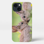 Kutest Baby Animals | Bunny Kiss iPhone Hoesje (Achterkant)
