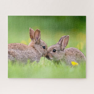 Kutest Baby Animals   Bunny Kiss Legpuzzel