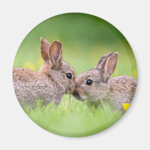 Kutest Baby Animals Bunny Kiss Magneet