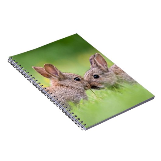 Kutest Baby Animals | Bunny Kiss Notitieboek (Rechterzijde)