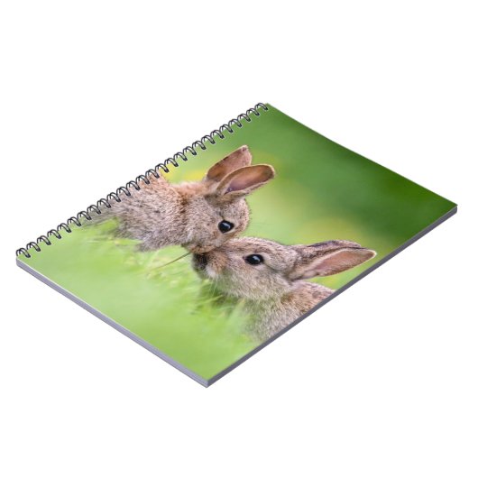 Kutest Baby Animals | Bunny Kiss Notitieboek (Linkerzijde)