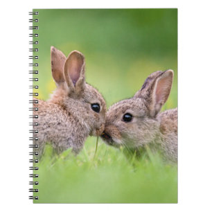 Kutest Baby Animals   Bunny Kiss Notitieboek