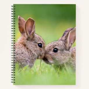 Kutest Baby Animals   Bunny Kiss Notitieboek