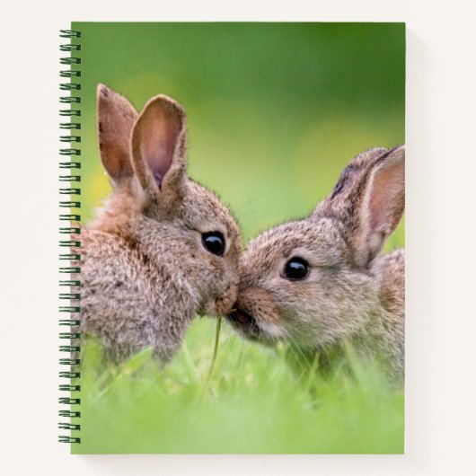 Kutest Baby Animals | Bunny Kiss Notitieboek (Voorkant)