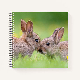 Kutest Baby Animals   Bunny Kiss Notitieboek