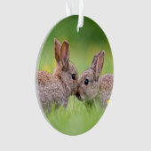 Kutest Baby Animals | Bunny Kiss Ornament (voorkant)
