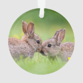 Kutest Baby Animals | Bunny Kiss Ornament (achterkant)