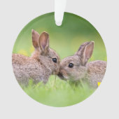 Kutest Baby Animals | Bunny Kiss Ornament (voorkant)