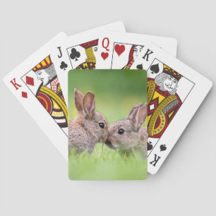 Kutest Baby Animals   Bunny Kiss Pokerkaarten
