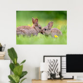 Kutest Baby Animals | Bunny Kiss Poster (Thuiskantoor)