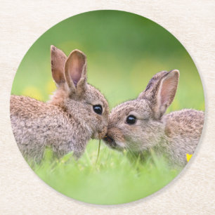 Kutest Baby Animals   Bunny Kiss Ronde Kartonnen Onderzetter