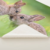 Kutest Baby Animals | Bunny Kiss Sherpa Deken (3/4)