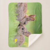 Kutest Baby Animals | Bunny Kiss Sherpa Deken (Voorkant)