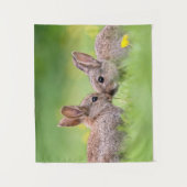 Kutest Baby Animals | Bunny Kiss Wandkleed (Voorkant)