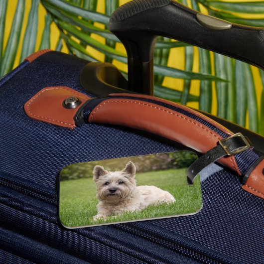 Kutest Baby Animals | Cairn Terrier Dog Bagagelabel (Voorkant Insitu 3)