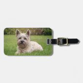 Kutest Baby Animals | Cairn Terrier Dog Bagagelabel (Voorkant horizontaal)