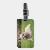 Kutest Baby Animals | Cairn Terrier Dog Bagagelabel (Voorkant verticaal)