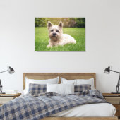 Kutest Baby Animals | Cairn Terrier Dog Canvas Afdruk (Insitu (Slaapkamer))