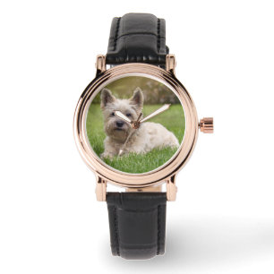 Kutest Baby Animals   Cairn Terrier Dog Horloge