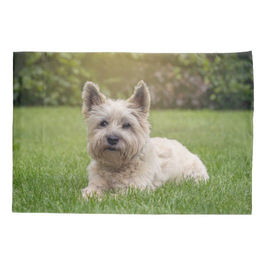 Kutest Baby Animals | Cairn Terrier Dog Kussensloop (Achterkant)