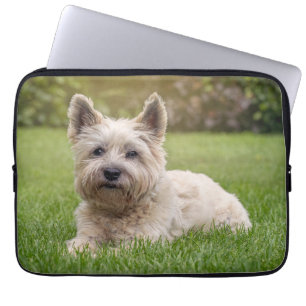 Kutest Baby Animals   Cairn Terrier Dog Laptop Sleeve