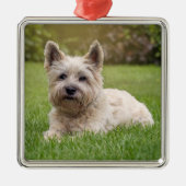 Kutest Baby Animals | Cairn Terrier Dog Metalen Ornament (Voorkant)