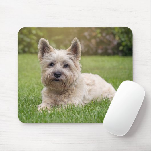 Kutest Baby Animals | Cairn Terrier Dog Muismat (Met muis)