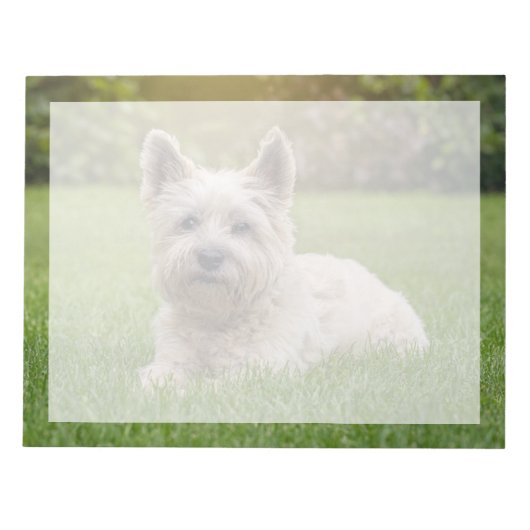 Kutest Baby Animals | Cairn Terrier Dog Notitieblok (Voorkant)