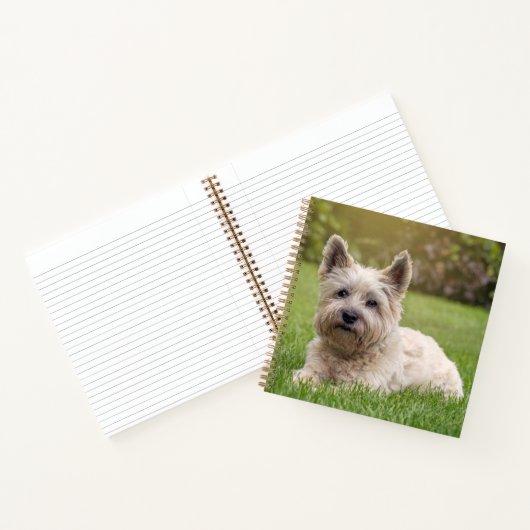 Kutest Baby Animals | Cairn Terrier Dog Notitieboek (Binnen)