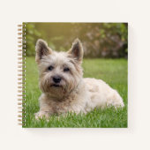 Kutest Baby Animals | Cairn Terrier Dog Notitieboek (Voorkant)