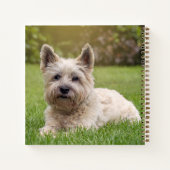 Kutest Baby Animals | Cairn Terrier Dog Notitieboek (Achterkant)