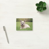 Kutest Baby Animals | Cairn Terrier Dog Post-it® Notes (Kantoor)