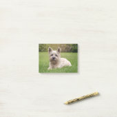 Kutest Baby Animals | Cairn Terrier Dog Post-it® Notes (Op bureau)