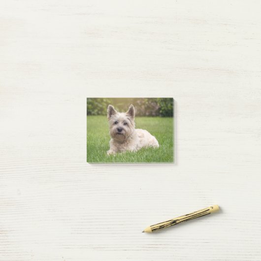 Kutest Baby Animals | Cairn Terrier Dog Post-it® Notes (Op bureau)