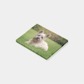 Kutest Baby Animals | Cairn Terrier Dog Post-it® Notes (Schuin)