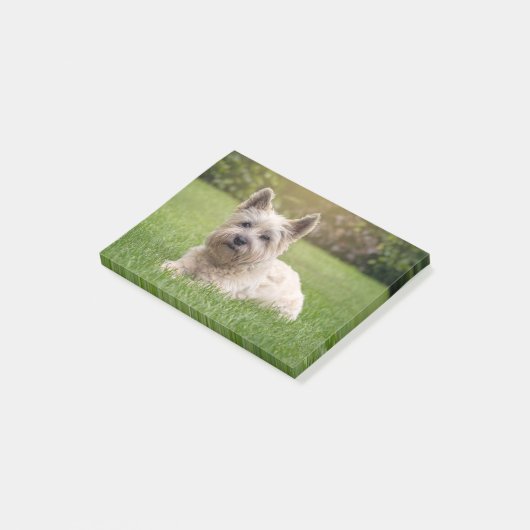 Kutest Baby Animals | Cairn Terrier Dog Post-it® Notes (Schuin)