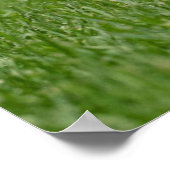 Kutest Baby Animals | Cairn Terrier Dog Poster (Hoek)