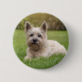Kutest Baby Animals | Cairn Terrier Dog Ronde Button 5,7 Cm (Voorkant)