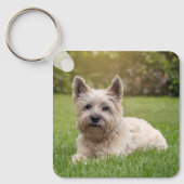 Kutest Baby Animals | Cairn Terrier Dog Sleutelhanger (Voorkant)