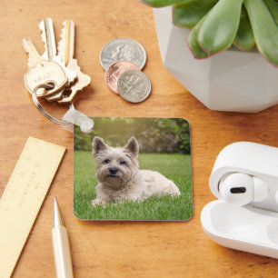 Kutest Baby Animals   Cairn Terrier Dog Sleutelhanger