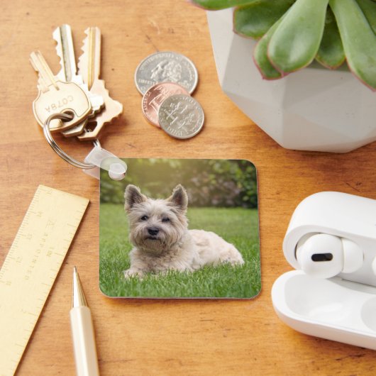 Kutest Baby Animals | Cairn Terrier Dog Sleutelhanger (Bureau)