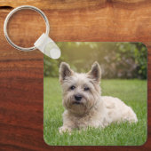 Kutest Baby Animals | Cairn Terrier Dog Sleutelhanger (Voorkant)