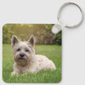 Kutest Baby Animals | Cairn Terrier Dog Sleutelhanger (Achterkant)